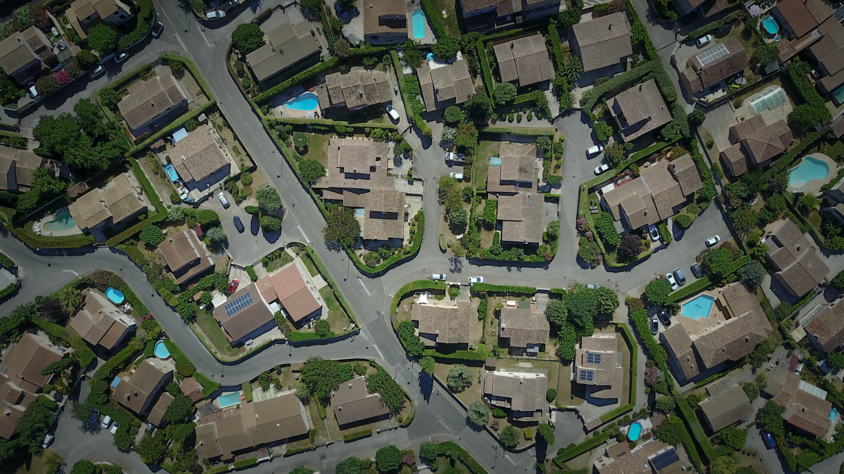 Birdseye